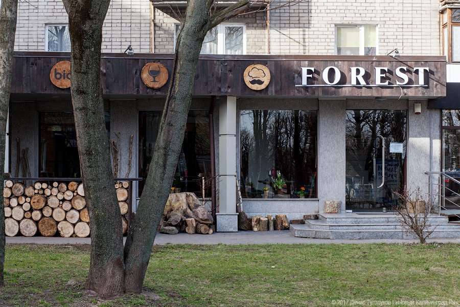 Кафе форрест воронеж