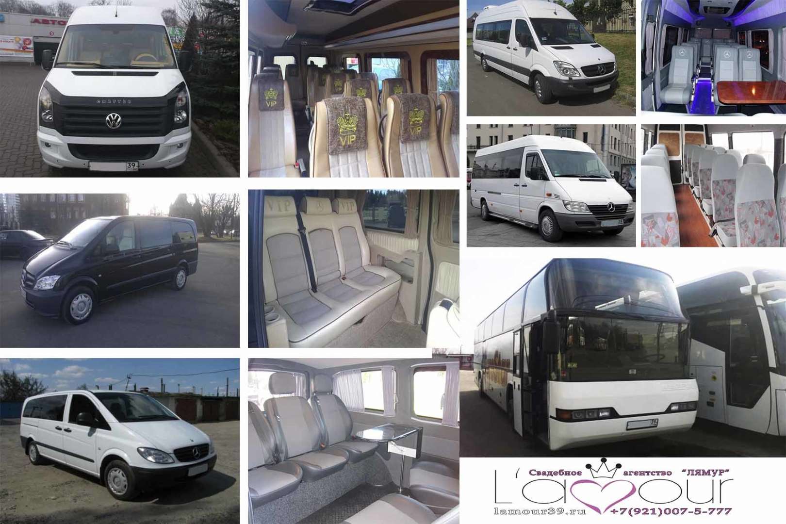 Рейтинг Автопроката В Калининграде